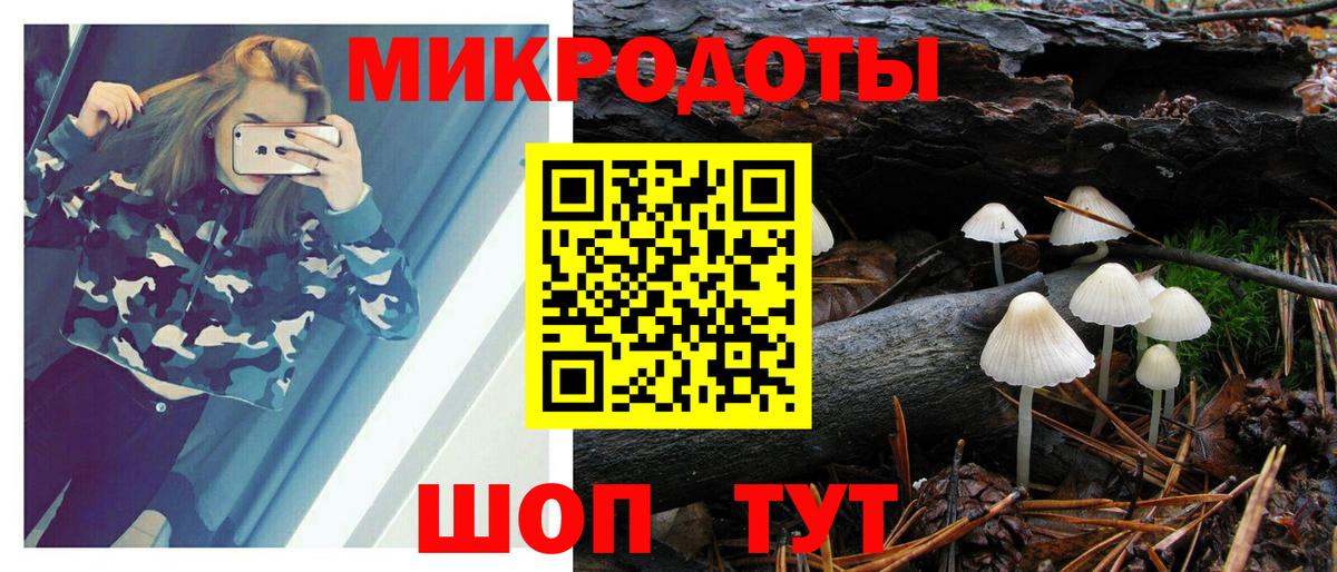 Псилоцибиновые грибы Cubensis  Галлюциногенные грибы GOLDEN TEACHER  Вход с VPN  Калининград 