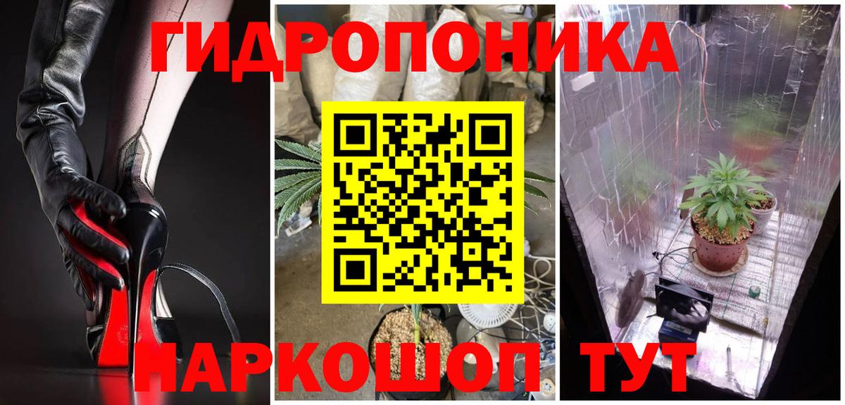 Шишки марихуана MAZAR  Марихуана план  Конопля тримм  Вход с VPN  Калининград 